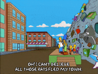 homer simpson omg GIF