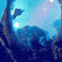 solutions_HMG solutionsjubel solutions-hmg GIF