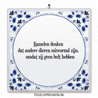 Humor Nl GIF by Tegelspreuken.nl