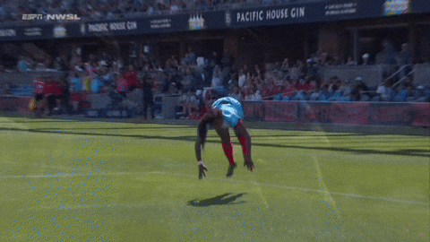 2025 GIF by National Women's Soccer League