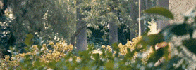joaquin phoenix art GIF by Inherent Vice