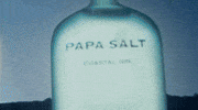 PapaSalt dance music party summer GIF