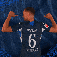 Grischa Prömel Sport GIF by TSG Hoffenheim