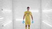 College Sports Michigan Soccer GIF by Michigan Athletics