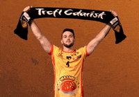 Point Win GIF by trefl_gdansk
