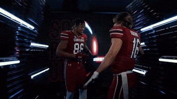College Football Dance GIF by gamecocksonline