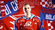 Robin Kaplan GIF by HC Dynamo Pardubice