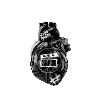 smartfilms_co corazon cine smartfilms yosoysmartfilms Sticker