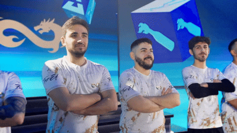 Team Esports GIF by BLAST
