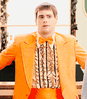 dumb and dumber bar GIF