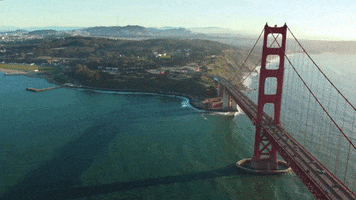 San Francisco City GIF by Yevbel