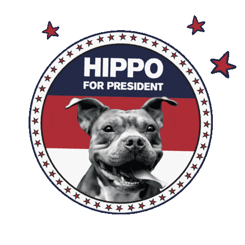 biggiesbullies rescue pitbull bullies biggies Sticker
