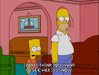 Episode 15 GIF by The Simpsons