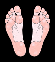 feet GIF