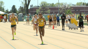 north dakota state bison GIF by NDSU Athletics