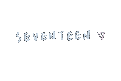세븐틴 Carat Sticker