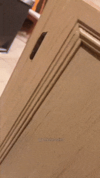 Spy Spying GIF