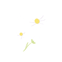 Flowers Spring Sticker