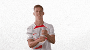 Oh Yeah Yes GIF by RB Leipzig