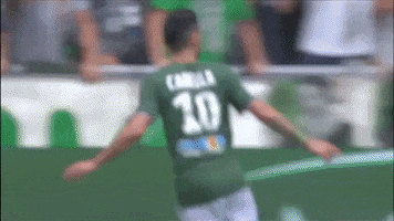 celebration goal GIF by AS Saint-Etienne