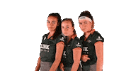 Charlies Angels Celebration Sticker by coelen