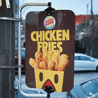 chicken fries GIF by Burger King
