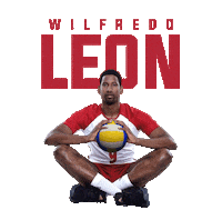 Leon Volley Sticker by TeamGM