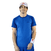 The Wolf Padel Sticker by Red Bull