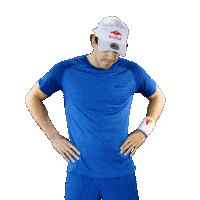 The Wolf Padel Sticker by Red Bull