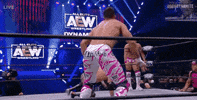 All Elite Wrestling GIF by AEWonTV