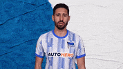 Well Done Good Job GIF by Hertha BSC