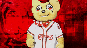 El Paso Reaction GIF by El Paso Chihuahuas