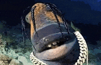 Travis Scott Fish GIF