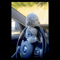 Happy Fun GIF