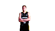 Liga Endesa Dance Sticker by ACB