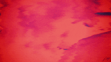 spice channel GIF