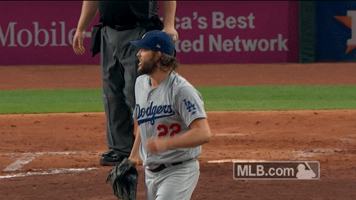 Excited Los Angeles Dodgers GIF by MLB