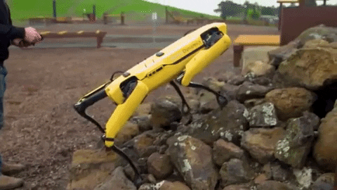 tulsimo giphygifmaker GIF