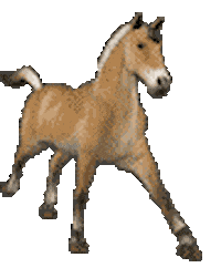 horse STICKER