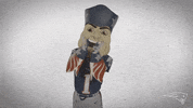 Football Applause GIF by New England Patriots