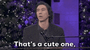 Adam Driver Snl GIF by Saturday Night Live