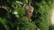 Summer Day Plants GIF by Hardly Art
