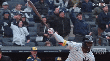 New York Yankees Sport GIF by MLB