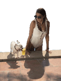 Dog Sticker by munai