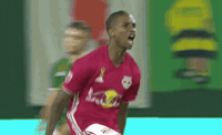 Celebrate Lets Go GIF by Major League Soccer