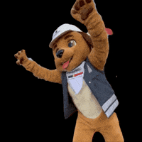 Paca Contrucao GIF by Pacaembu