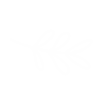 annisuvisuo leaf minimalist suvisuo Sticker