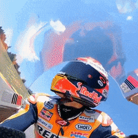 happy marc marquez GIF by MotoGP