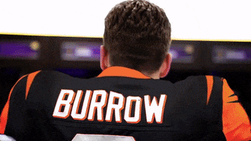 Cincinnati Bengals Nfl GIF by LSU Tigers