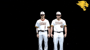 D3B GIF by CUCougars